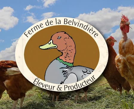 CDI en ferme : poste polyvalent en élevage de volailles