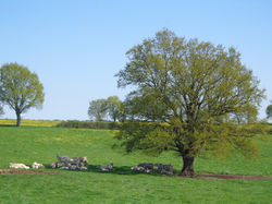 DSC00804.JPG