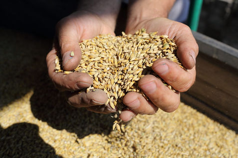 GX0A4573_новый размер.JPG