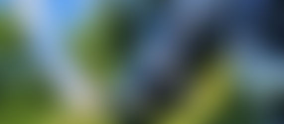 Fiesta In The Park Club Tickets And Plaques