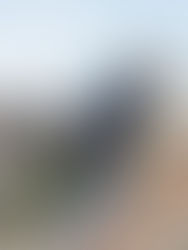 5 Tips for Choosing the Right Roofing Services in Arkansas