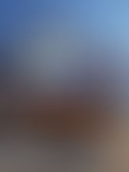 CHOOSING INTERIOR PAINT COLORS