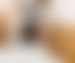 Bed Bugs | Bed Bugs Control Services | Pesticides