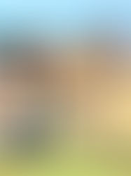 How To Have A Virtual Doorman For Home Security