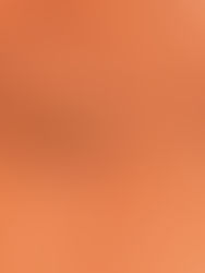 SIMPLE BED BUG ELIMINATION PLAN 