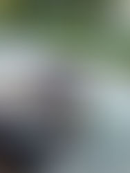 What Is Estate Planning?