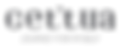 LOGO NUEVO CETTUA SIN FONDO.png