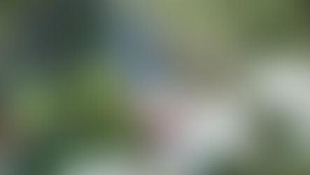 移動花聚落!各種好拍角度