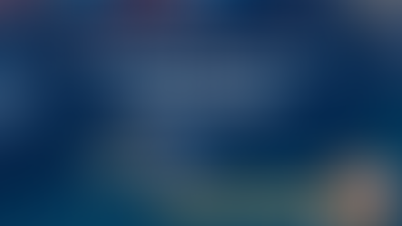 Em busca de relíquias aduaneiras: a infindável procura por referências bibliográficas