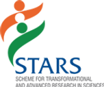 STARS.png