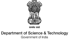 DST logo.png