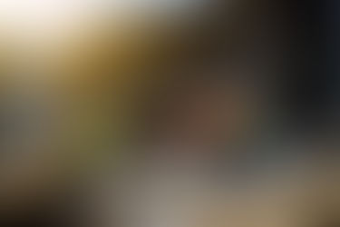 Comprehending the Duty of Building Professionals in Modern Structure Projects