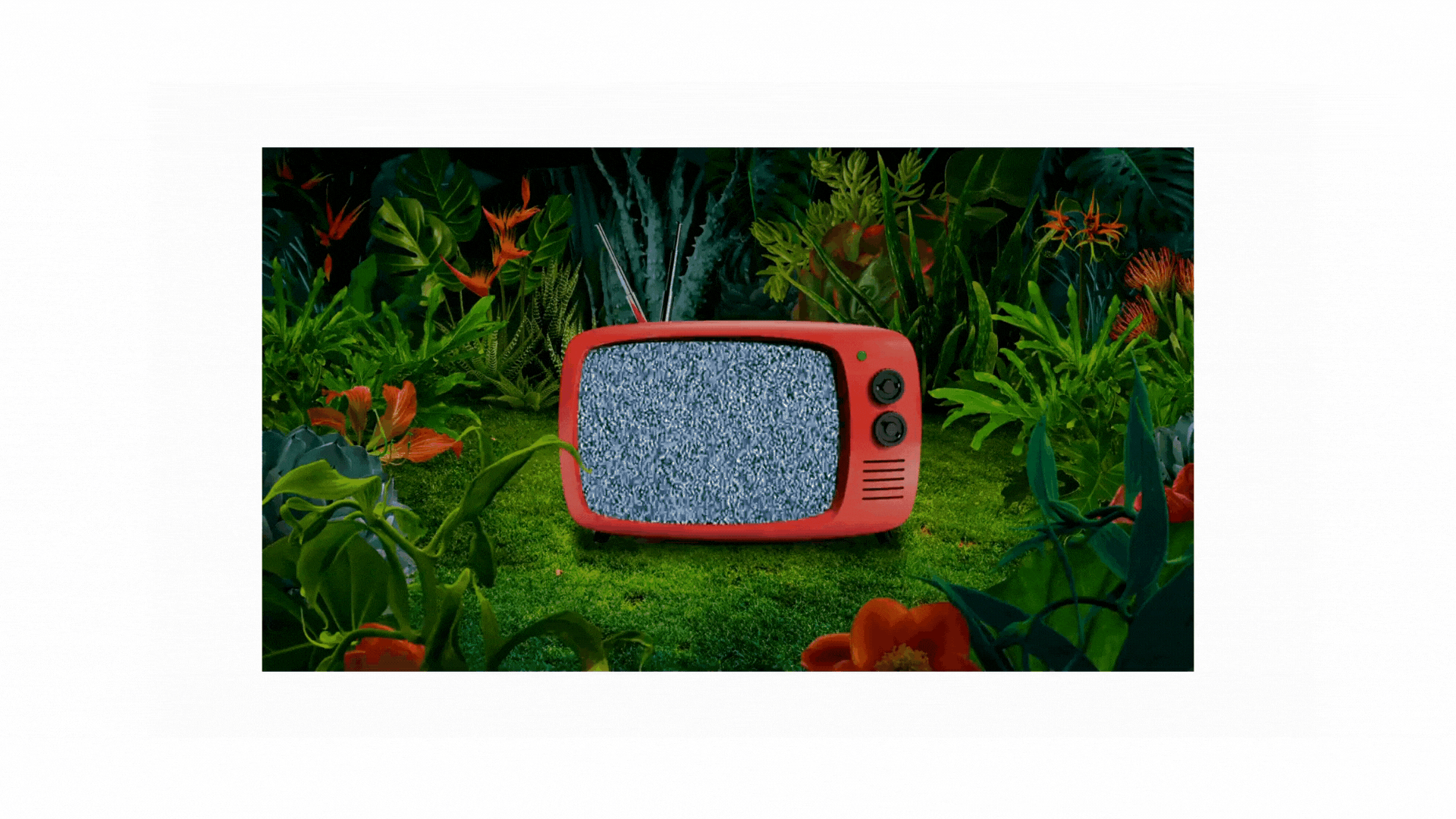 Diseño sin título (5).gif