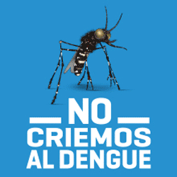 250x250-DENGUE.gif