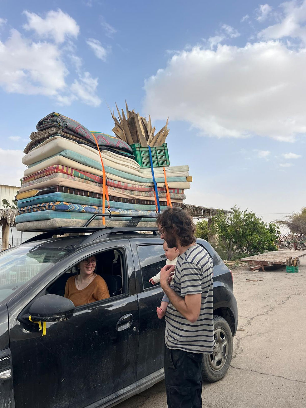 פרחים בערבה