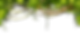 Tropical_Rainforest_Vining_Plant_Artwork-removebg-preview.png