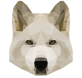 Chien blanc géométrique