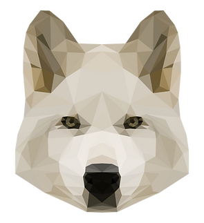 Geometric White Dog