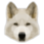 幾何学白い犬