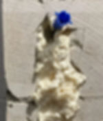 SCOBE 6