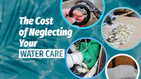 The Cost of Neglecting Your Water Care 