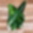 An image of picked Swiss chard on an oak block chopping board