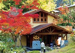 のめこい湯