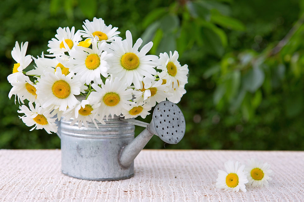 Little Blooms That Bring Big Smiles