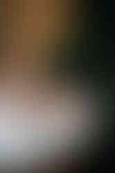 DSC00524.jpg