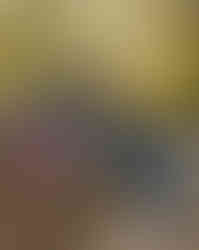L1000338.jpg