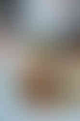 DSC01590-2.jpg
