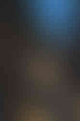 DSC09548.jpg