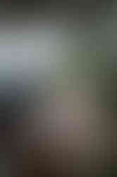 DSC00179.jpg