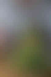DSC01626.jpg