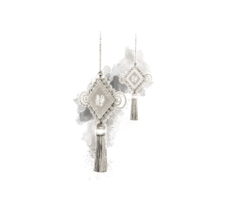 shaolin-hg-sektion-12.png