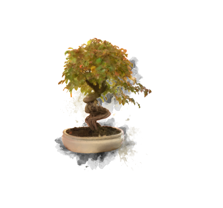 website-shaolin-2160-footer-OVERLAY-7.png