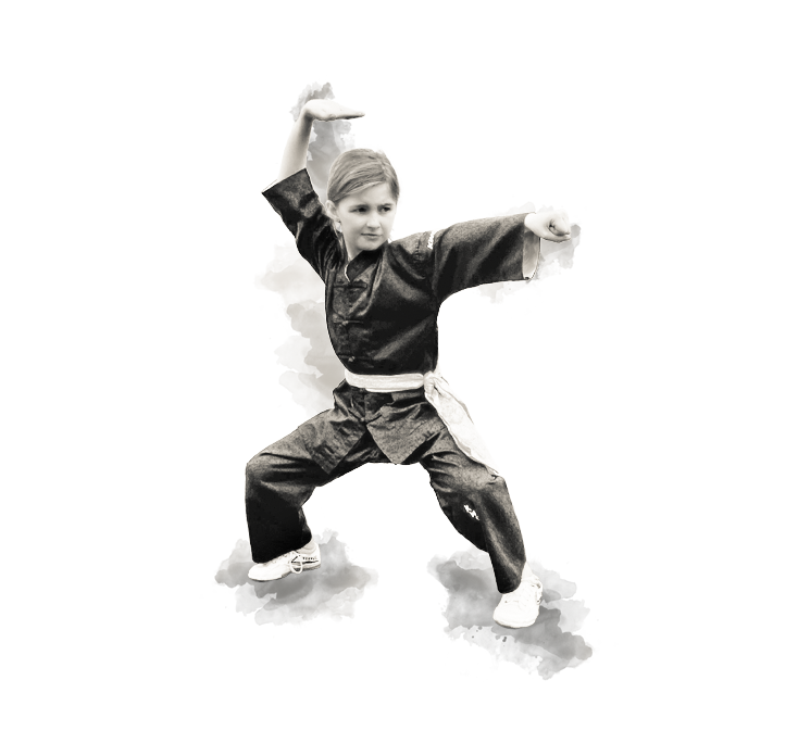 shaolin-hg-sektion-68.png