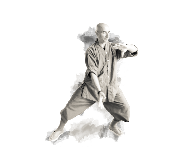 shaolin-hg-sektion-38.png