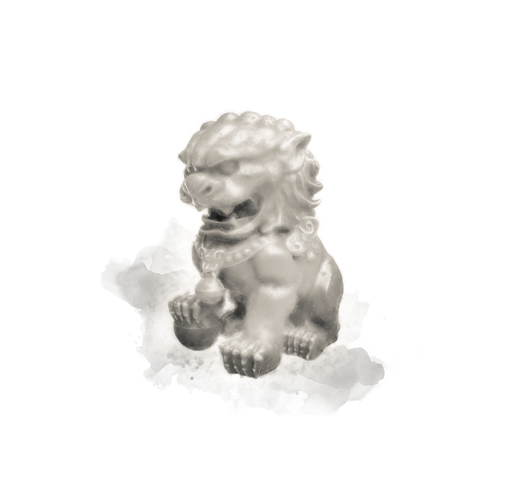 shaolin-hg-sektion-31.png
