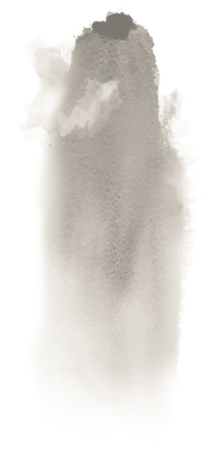 shaolin-hg-sektion-4b.png