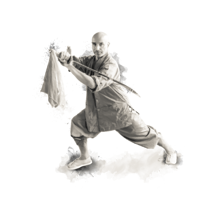 shaolin-hg-sektion-37.png