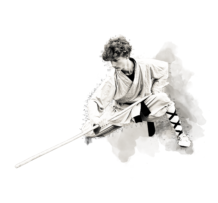 shaolin-hg-sektion-64.png