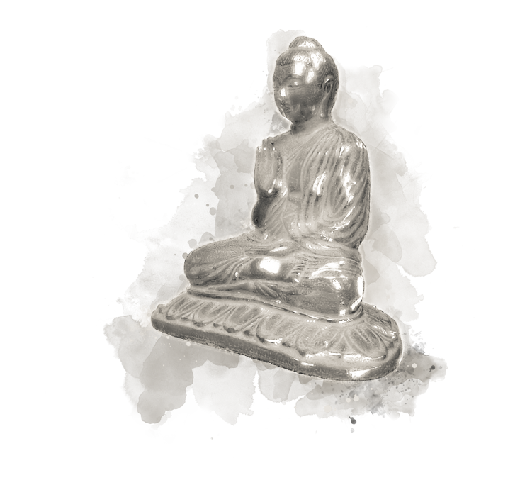 shaolin-hg-sektion-16.png