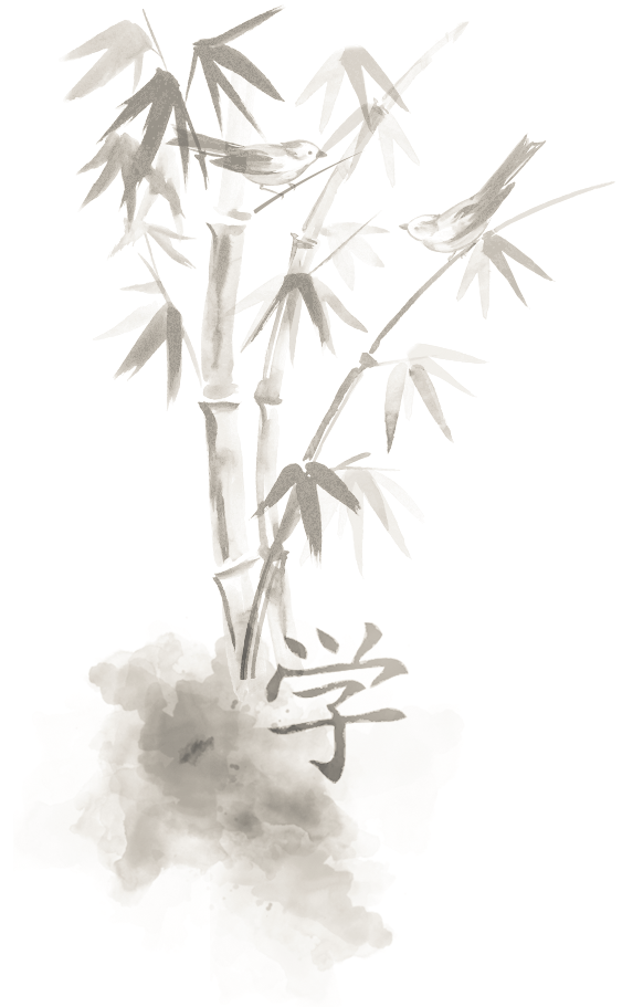 shaolin-hg-sektion-2a.png