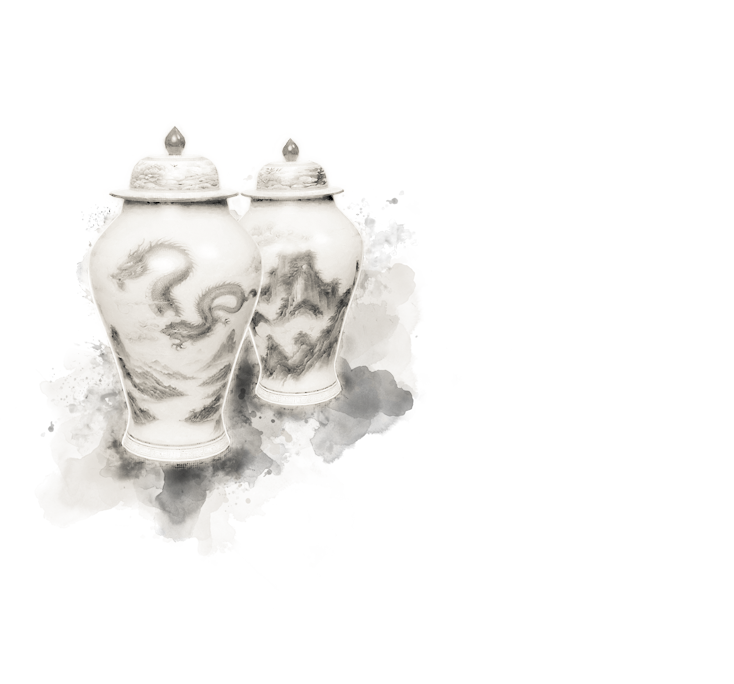 shaolin-hg-sektion-6.png