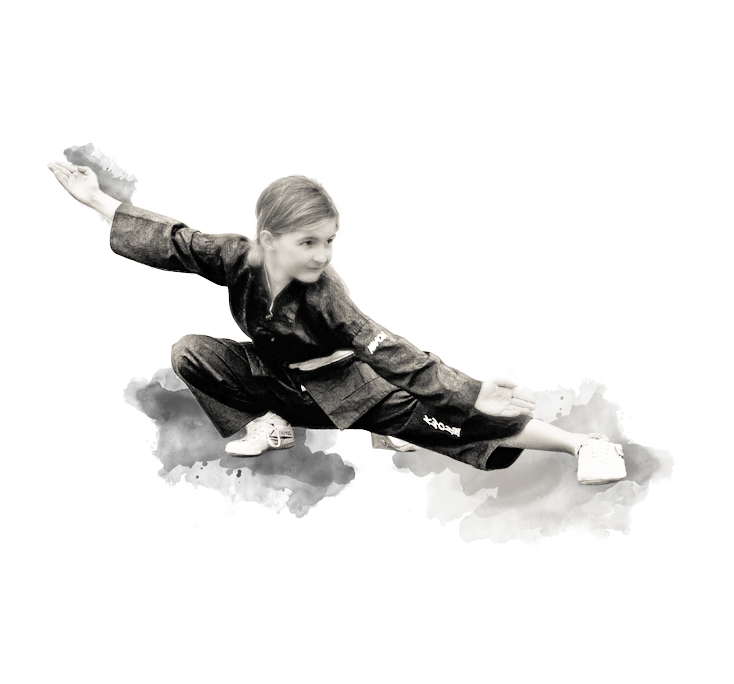 shaolin-hg-sektion-67.png