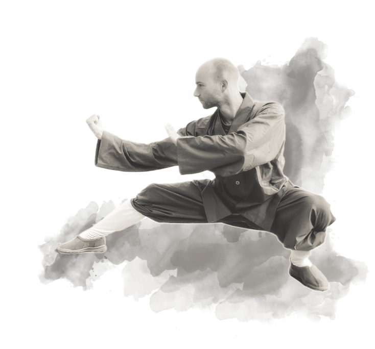 shaolin-hg-sektion-53.png