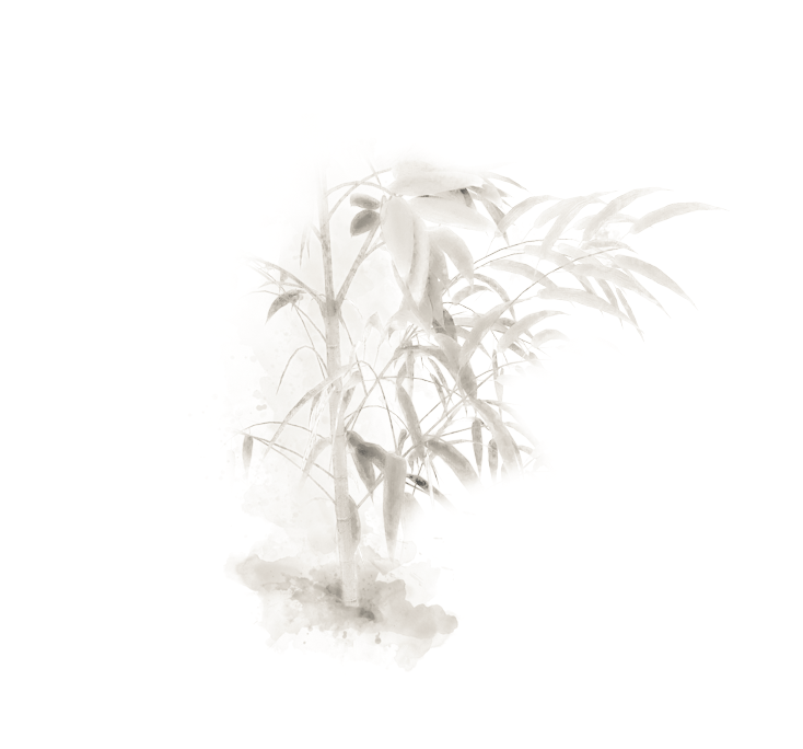 shaolin-hg-sektion-46.png