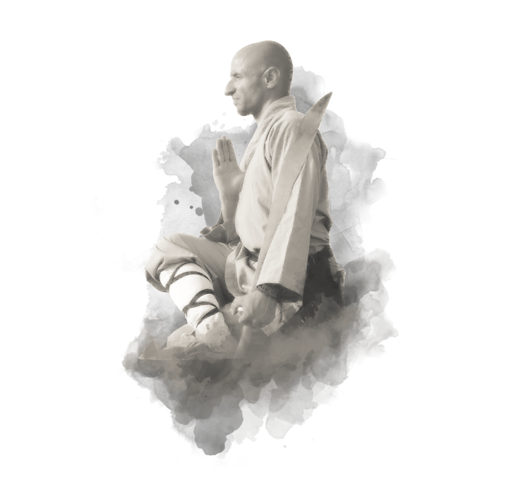 shaolin-hg-sektion-58.png