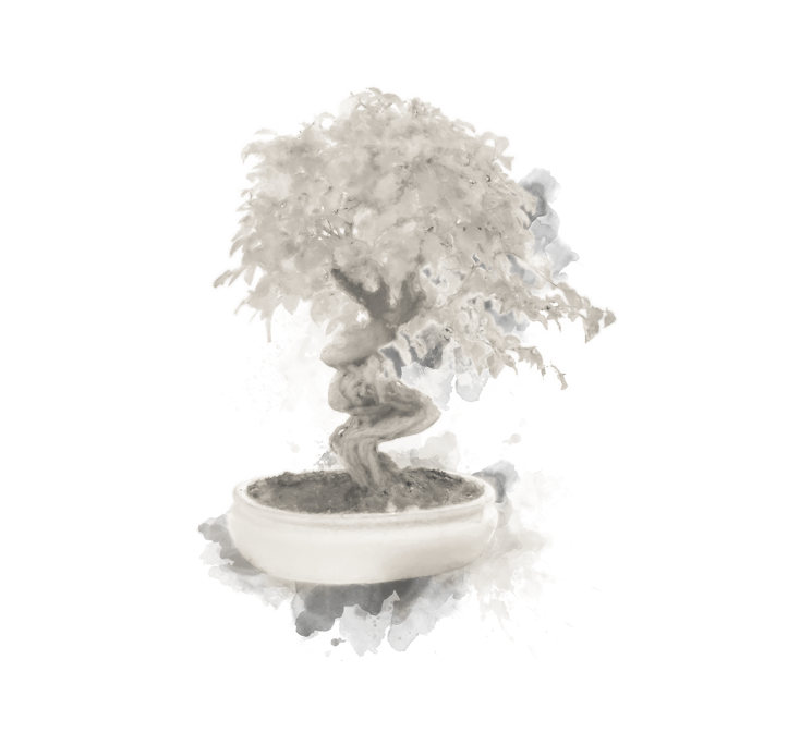 shaolin-hg-sektion-36.png